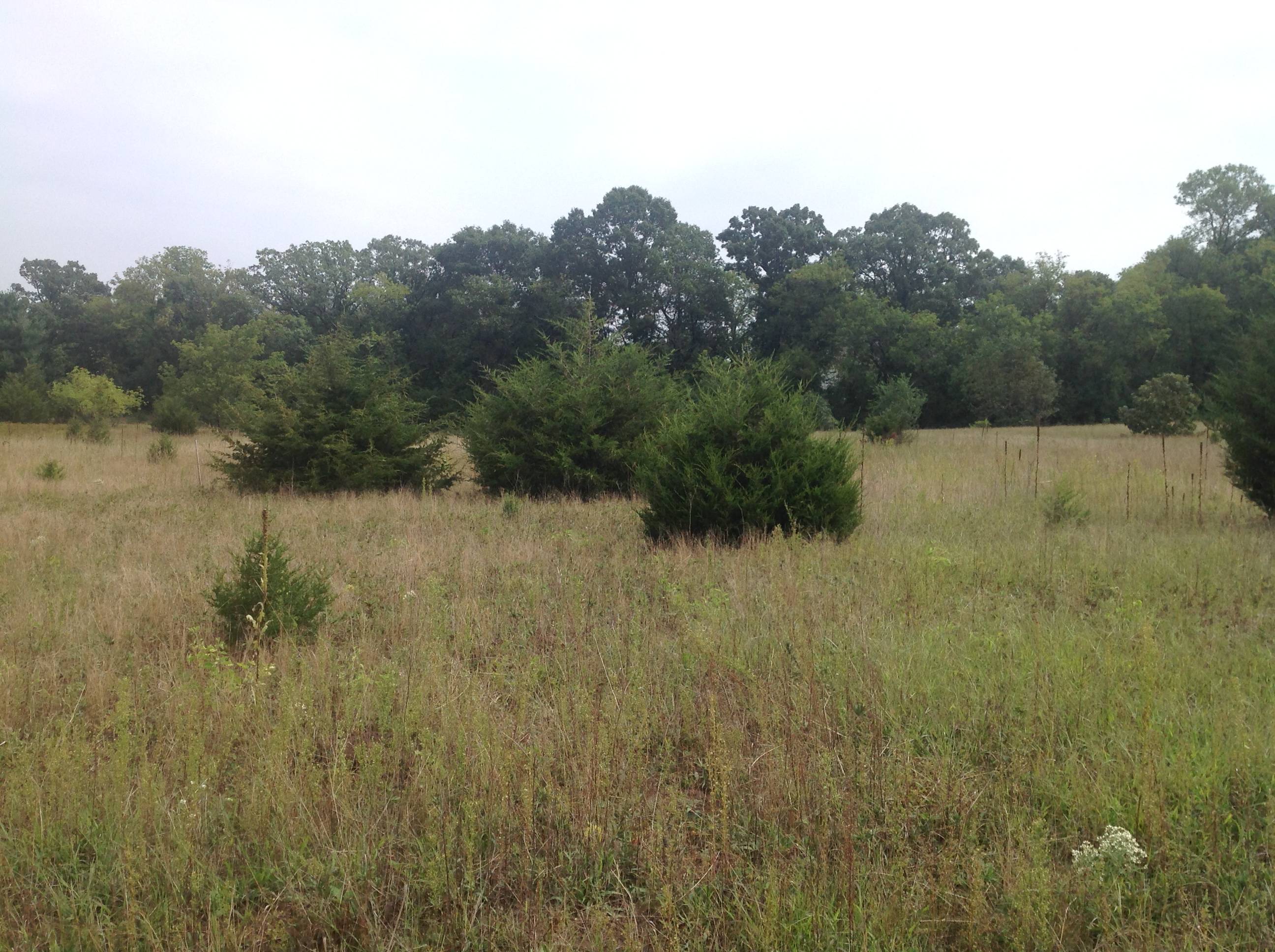 Price Reduced !!! 9.55 Acre Lot for sale PRINCETON MN R